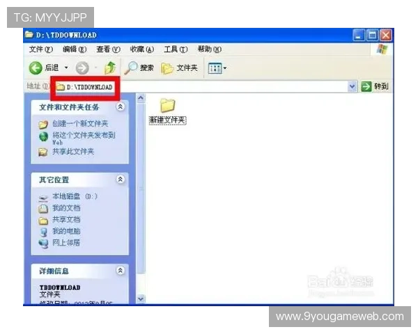 九游登录存在风险可能导致的个人信息泄露问题分析