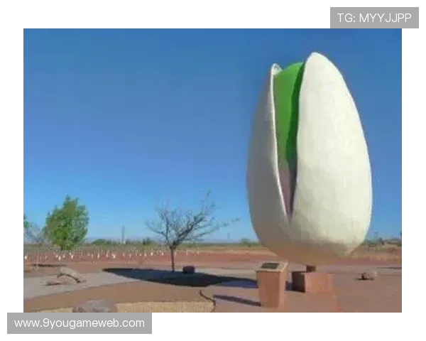 注册ag试玩会员享受的专属优惠和福利有哪些